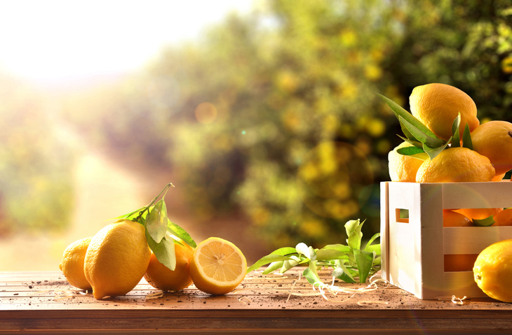 Crate Of Freshly Picked Lemons On Wooden Table In Field - Got Lemons?
