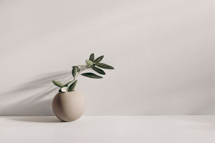 Modern Summer Still Life Photo. Beige Ball Shaped Vase With Green Olive Tree Branch In Sunlight With Long Shadows.Bei...